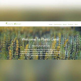 best digital marketing agency in Pune